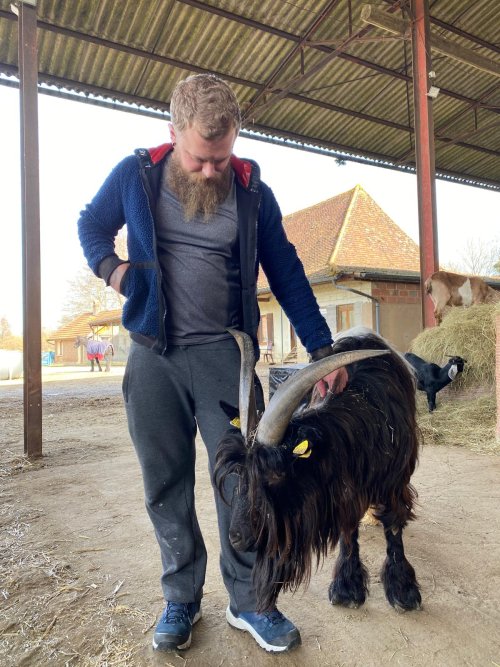 Dernière ligne droite avant la certification en chiropraxie animale !
